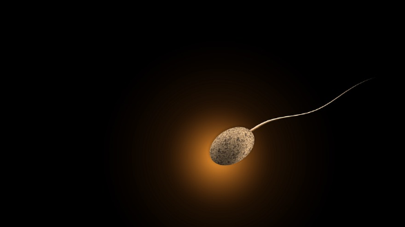健康指南：黑河卵巢早衰能不能生育呢