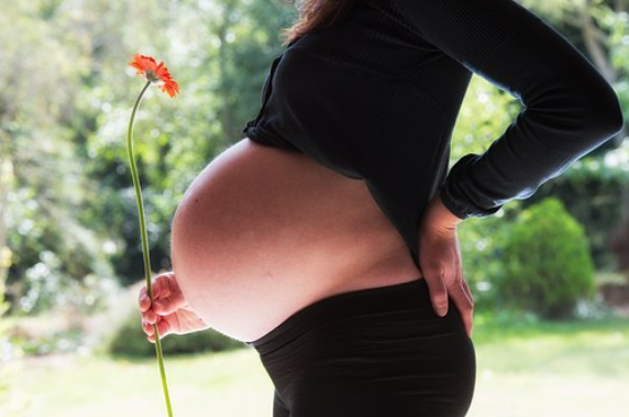 16个卵泡的怀孕成功率预估,试管婴儿成功率