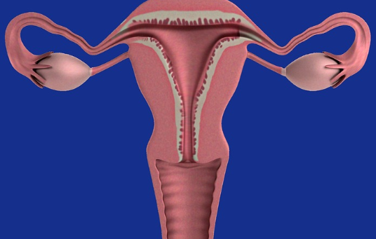 榜单精选：九江卵巢囊肿可以通过试管助孕吗