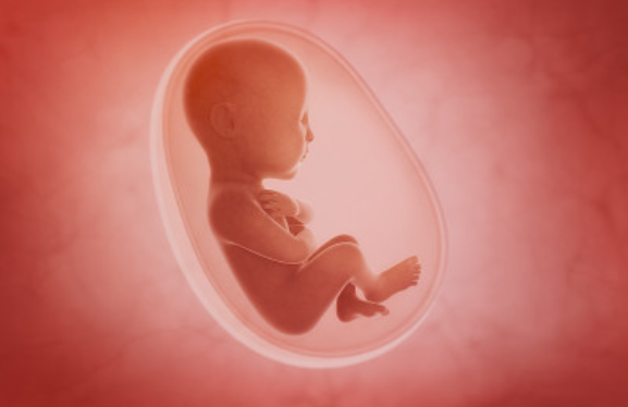 肾炎患者怀孕可能面对的风险有哪些(慢性肾炎可以做乌克兰试管婴儿怀孕吗)