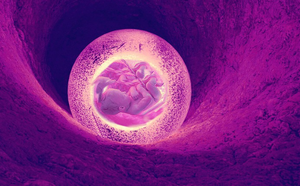 做囊胚移植呈现生化妊娠是为什么？囊胚移植重复失利原因