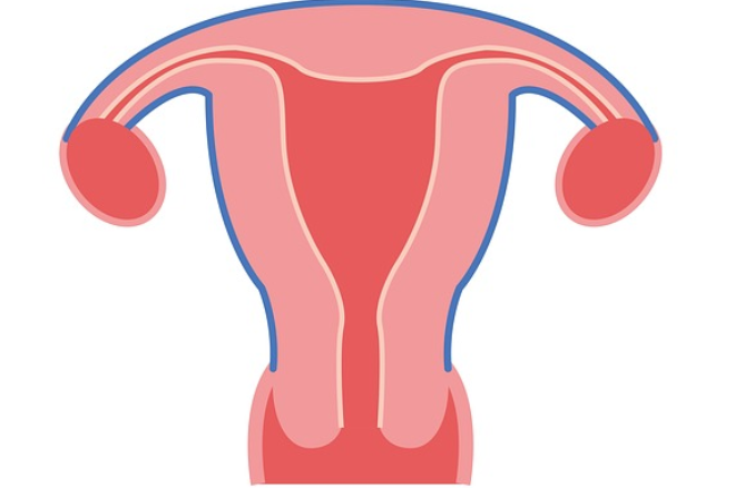 分泌物可不可以看出怀孕，内裤上有这种分泌物说明怀孕了