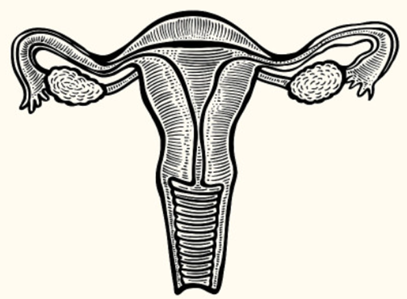 在胚胎移植之后，受孕者要怎么歇息-